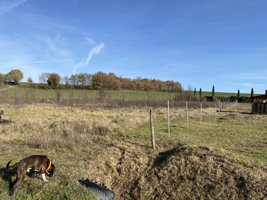 land with building permission