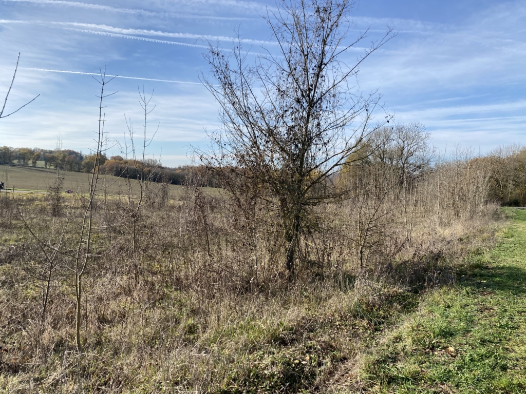 land with building permission