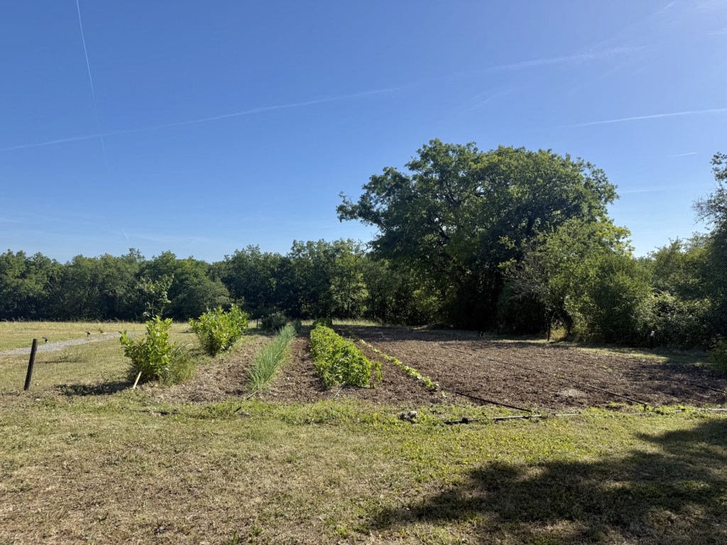 Domaine with 6 hectares