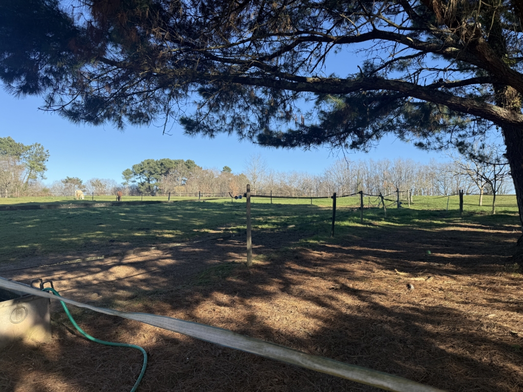 Superb Equestrian Property