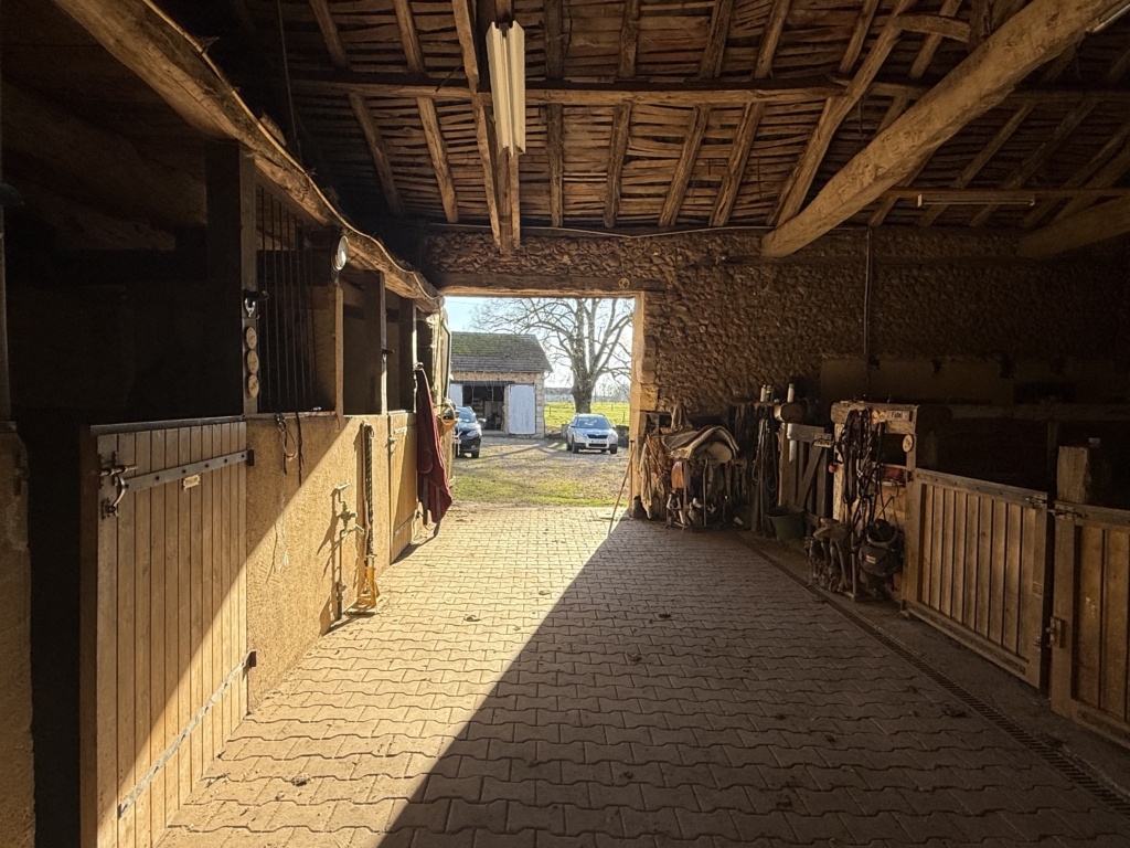 Superb Equestrian Property