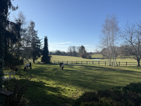 Superb Equestrian Property